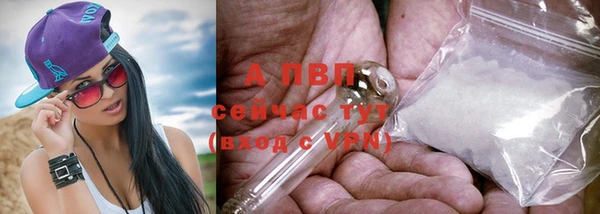 дмт Армянск